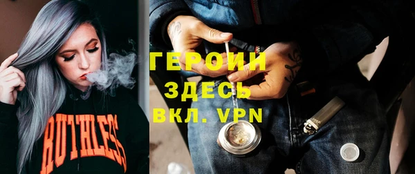 шишки Арсеньев