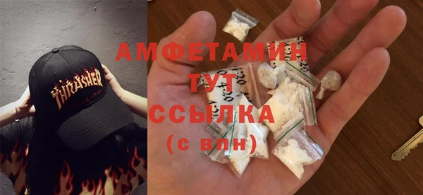 шишки Арсеньев