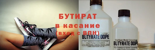 шишки Арсеньев