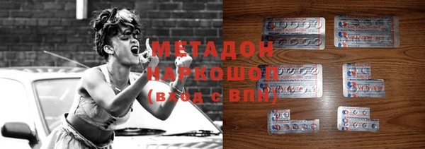 шишки Арсеньев