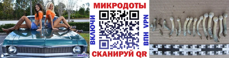 Псилоцибиновые грибы Cubensis  Среднеколымск 
